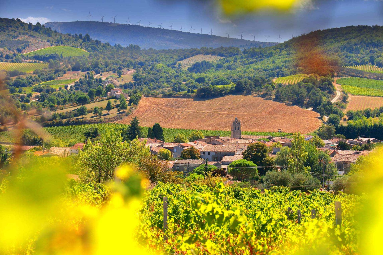 La Région de Limoux