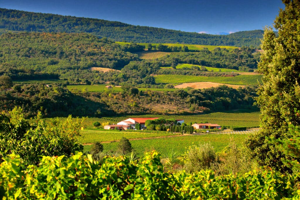 Récompenses du domaine & Parutions dans la presse